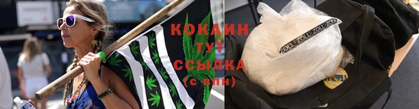 мдпв Зеленодольск