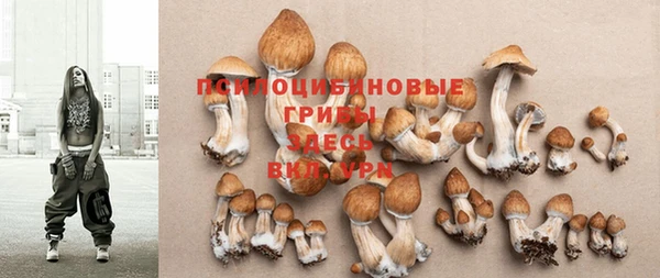 не бодяженный Зерноград